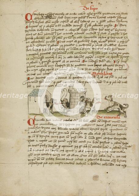 Two Dogs Barking and Cubs; Fables, third quarter of 15th century. Creator: Unknown.