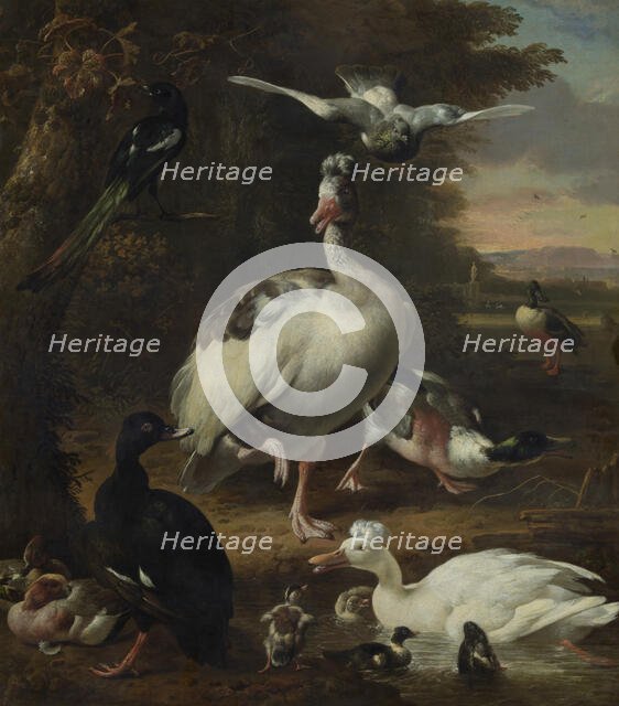 Birds, c1660-1695. Creator: Melchior d'Hondecoeter.