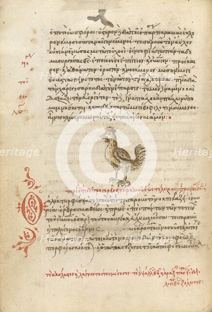 A Hen, 1510-1520. Creator: Unknown.