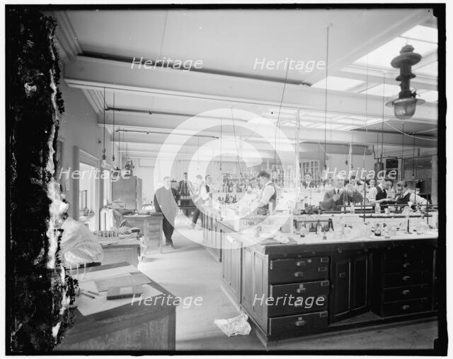 Treasury Dept. lab, between 1910 and 1920. Creator: Harris & Ewing.