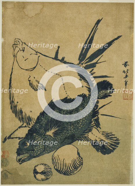 Flatfish, scorpion fish, and shells, from an untitled series of chuban prints, Japan, c. 1831. Creator: Hokusai.