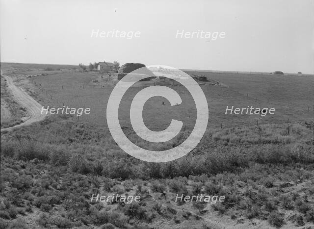 Landscape showing home of FSA borrower..., Nyssa Heights, Malheur County, Oregon, 1939. Creator: Dorothea Lange.