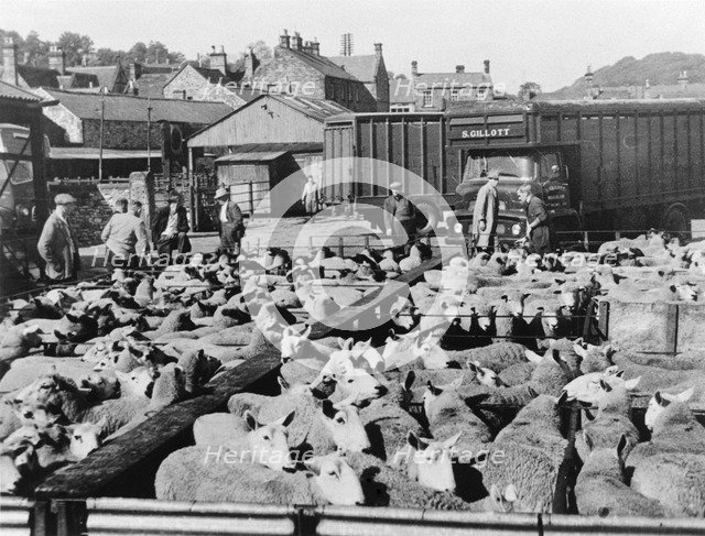 Sheep market, Bakewell, Derbyshire, c1950s-1960s(?). Artist: Unknown