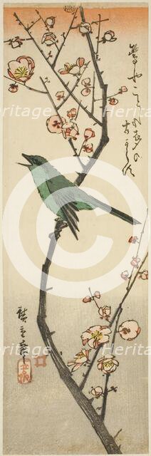 Bush warbler and plum, 1840s. Creator: Ando Hiroshige.