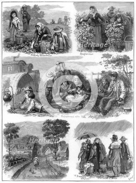 Fruit gatherers, 1899. Artist: Unknown