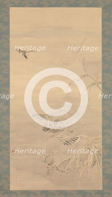 Hawk Grasping a Small Bird, 19th century. Creator: Tsubaki Chinzan.