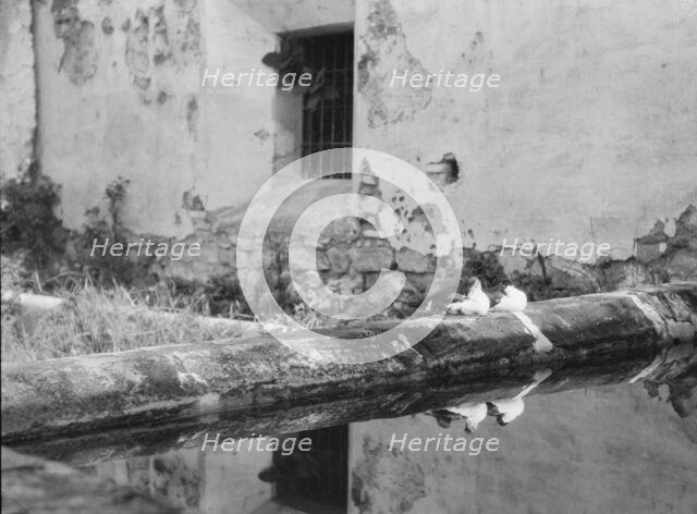 Travel views of Cuba and Guatemala, between 1899 and 1926. Creator: Arnold Genthe.