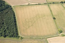 Cropmarks of an Iron Age and Roman settlement, West Northamptonshire, 2017. Creator: Damian Grady.