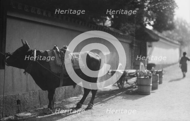 Travel views of Japan and Korea, 1908. Creator: Arnold Genthe.