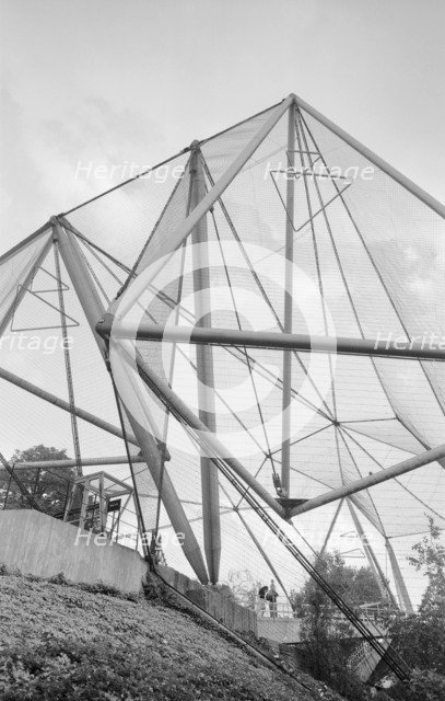 Northern Aviary, Zoological Gardens, Regent's Park, London, c1965. Artist: Eric de Maré