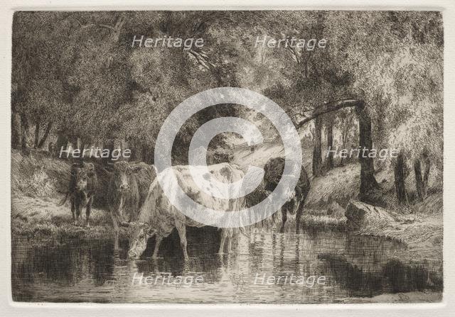 The Pool. Creator: Peter Moran (American, 1841-1914).