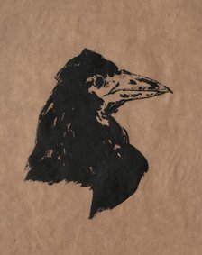 Raven Head. Creator: Edouard Manet (French, 1832-1883).