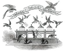 Industrie, Patience, Intelligence - birds trained by Emilie Vandermeersch, 1850. Creator: Unknown.