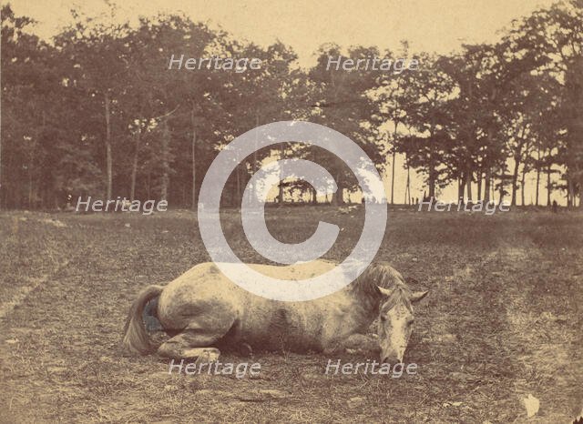 Is This Death - Antietam Battlefield, September 1862, 1862. Creator: Alexander Gardner.