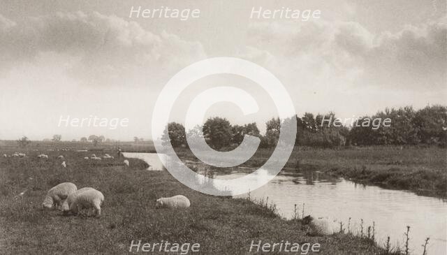 On the River Bure, 1886. Creator: Peter Henry Emerson.