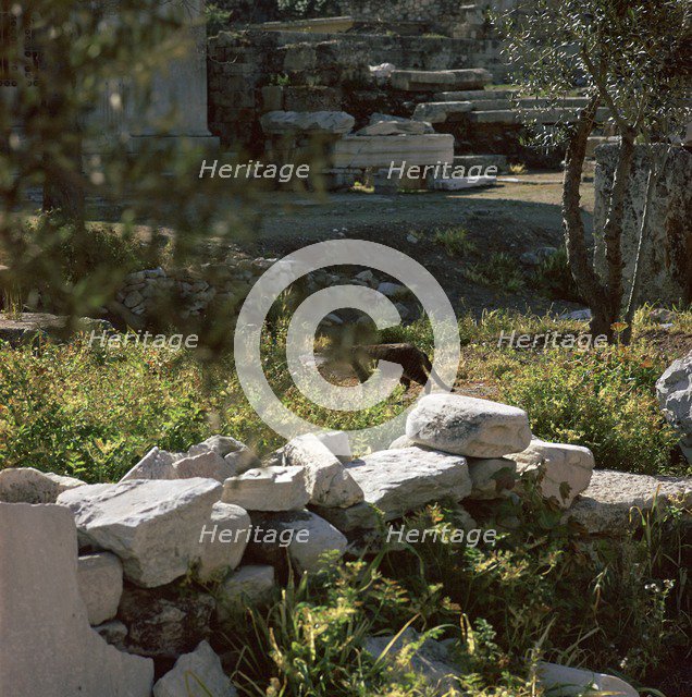 Picture of a cat in Athens. Artist: Unknown