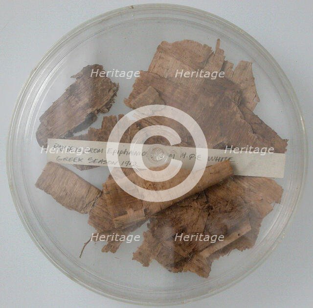 Papyri Fragments, Coptic, 7th century. Creator: Unknown.