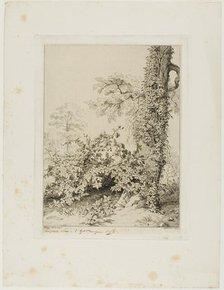 Bramble and Ivy, 1845. Creator: Eugene Blery.