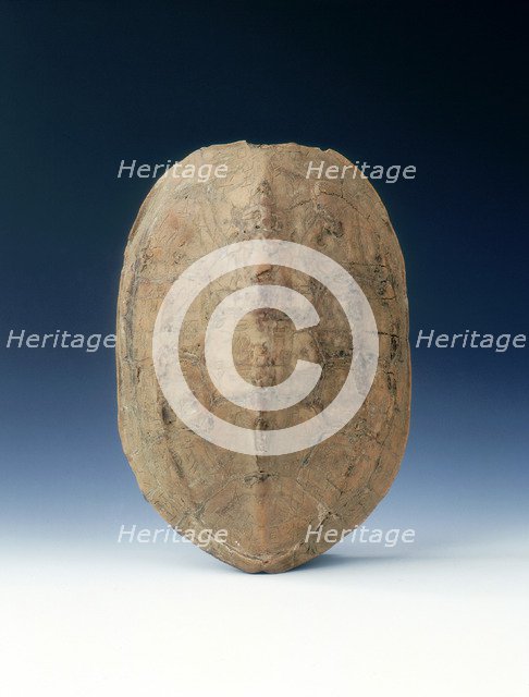 Petrified tortoise shell with oracle bone inscriptions, possibly Shang Dynasty, China, c1400 BC. Artist: Unknown