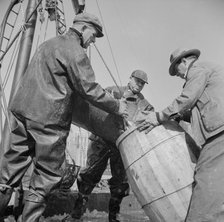 Filling a barrel with codfish at the Fulton fish market, New York, 1943. Creator: Gordon Parks.