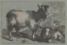 Goat and Two Kids, 1758. Creator: Francesco Londonio.