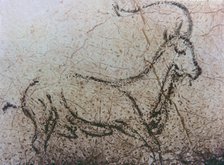 Naturalistic representation of an Spanish goat in movement (La Pileta cave, Málaga), using the di…