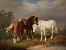 Horses, after Carl Wahlbom, 1864. Creator: Magnus von Wright.