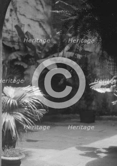 Courtyard, New Orleans, between 1920 and 1926. Creator: Arnold Genthe.