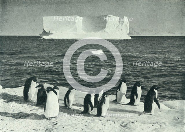 'A Berg Drifting in McMurdo Sound', c1910–1913, (1913).  Artist: Herbert Ponting.
