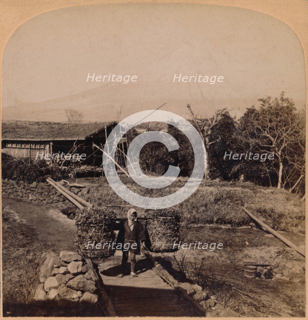 'The Sacred Fujiyama, Highest Mountain in Japan', 1896. Artist: Unknown.