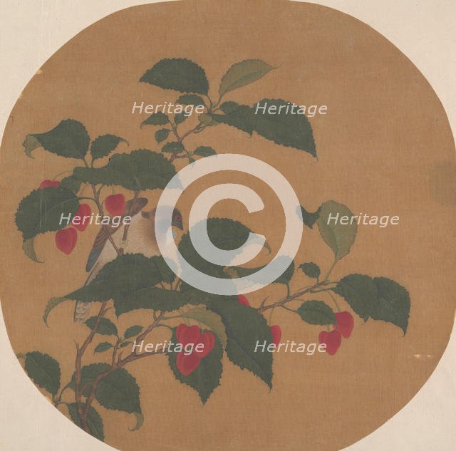 Branch of Tree. Creator: Unknown.