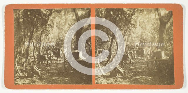 Moss Avenue, Fort George, Florida, 1872. Creator: Unknown.