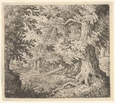 The Brook in the Wood, 17th century. Creator: Allart van Everdingen.