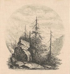Pines, 1870s-1880s. Creator: Carl C. Brenner.