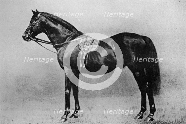 'Galopin, 1872-1899, (1911). Artist: Unknown.