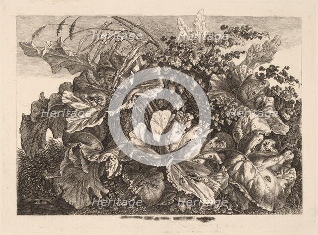 Foliage Study with Reed and Hops, 1826/1828. Creator: Carl Wilhelm Kolbe the elder.