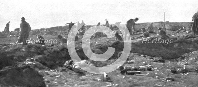 'Autour de la bataille du Kaimaktchalan; au milieu des anciennes tranchees bulgares, les nouveaux oc Creator: Vladimir Betzitch.