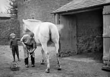 A farrier shoes a horse at Hellidon, Northamptonshire, c1873-c1923. Artist: Alfred Newton & Sons