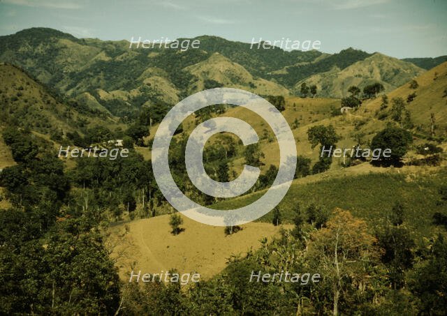 Vicinity of Corozal, Puerto Rico, 1941?. Creator: Jack Delano.