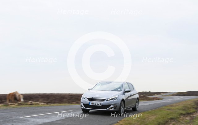 2014 Peugeot 308 THP 156 Feline Artist: Unknown.