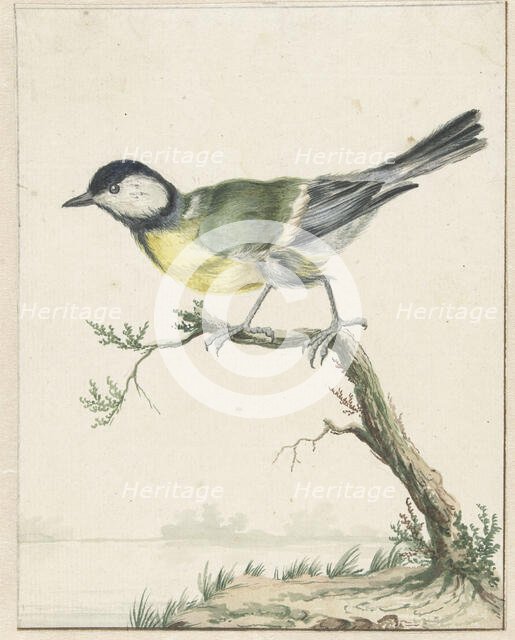 Coal tit, 1650-1719. Creator: Jan Weenix.