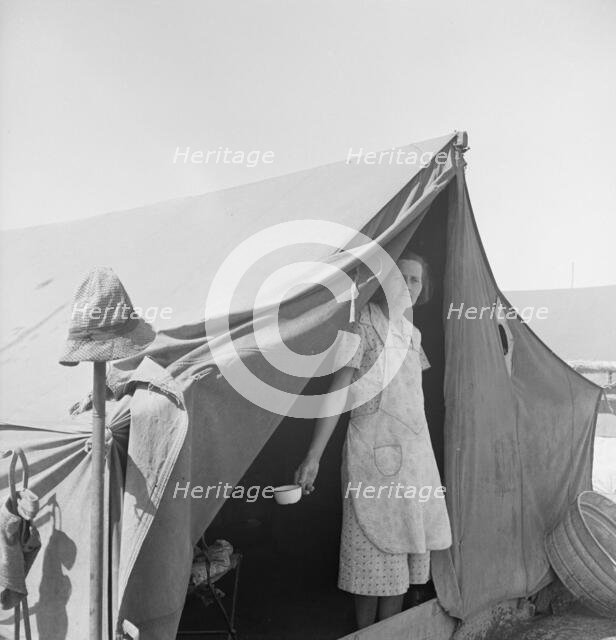 Migrant woman from Arkansas living in contractor's camp near Westley, California, 1939. Creator: Dorothea Lange.