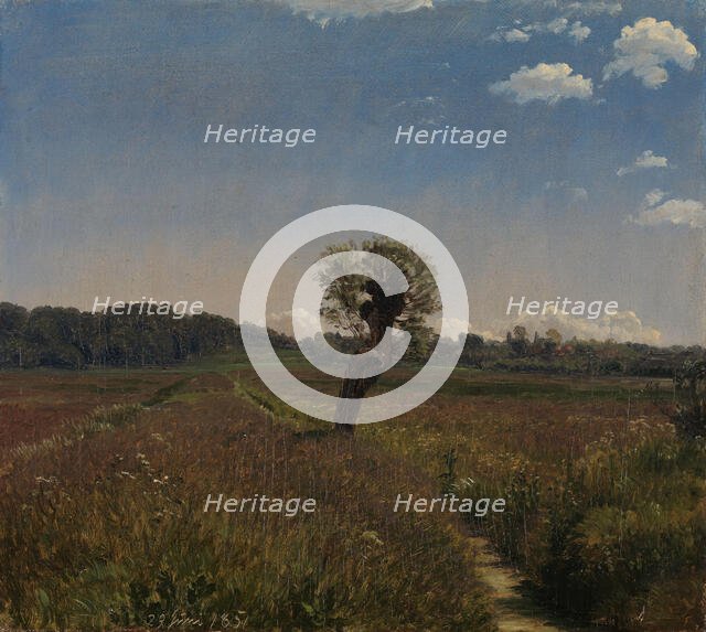 Meadow with a Solitary Willow, 1851. Creator: Peter Christian Thamsen Skovgaard.