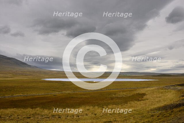 Pond, Iceland. Creator: Tom Artin.