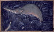 Ganges River Dolphin, 1590.  Creator: Sarwan.