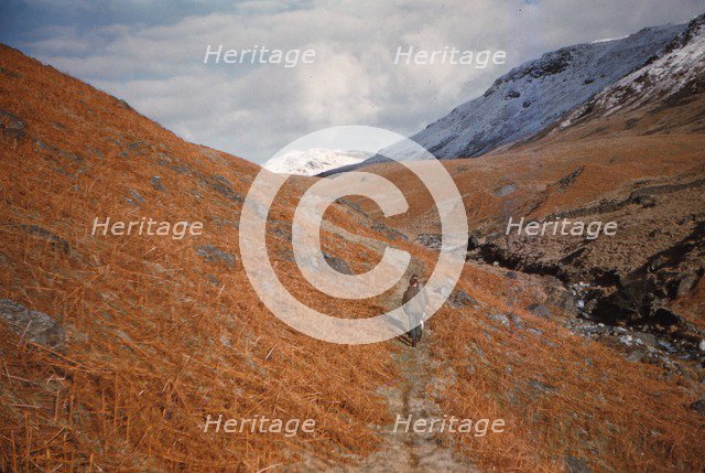 Footpath in Eskdale, Cumberland, February, c1960.  Artist: CM Dixon.