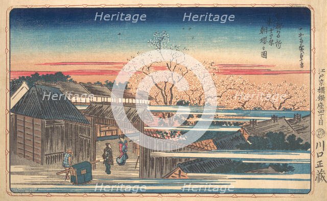 Morning Cherry Blossoms at Shin-Yoshiwara. Creator: Ando Hiroshige.