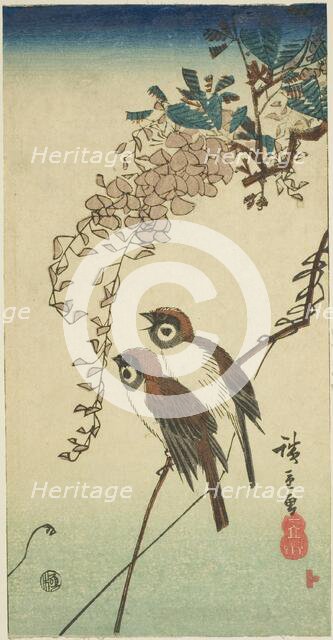 Sparrows and wisteria, n.d. Creator: Ando Hiroshige.