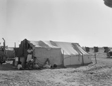 Camp of migratory workers, Imperial County, California, 1937. Creator: Dorothea Lange.