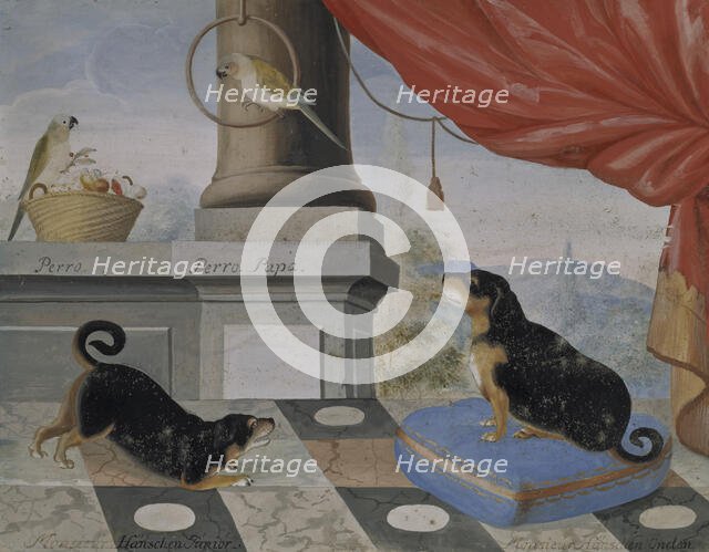 Two dogs and two parrots on a balcony, 1724. Creator: Philip Thelott.
